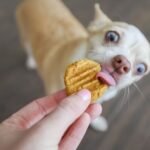 diy puppy treats image